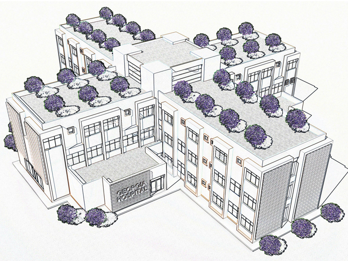 First Step Abroad – Georgia Geo Hospital Project